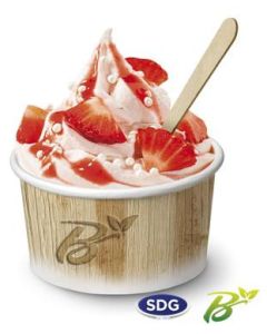 Pot à glace jetable professionnel pour glacier - Cuistéo