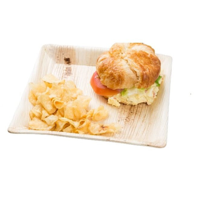 Assiette jetable plate 18 × 18 cm en feuille de palmier, lot de 25 - Ecobioshopping