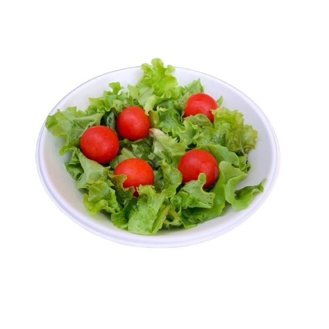 Assiette jetable 680 ml en cellulose, lot de 50 - Ecobioshopping
