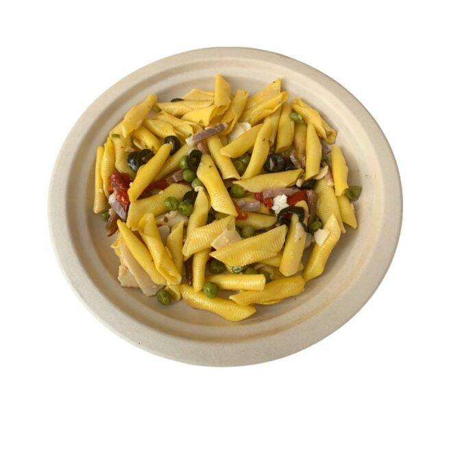 Assiette jetable plate Nature 23 cm en cellulose, lot de 50 - Ecobioshopping
