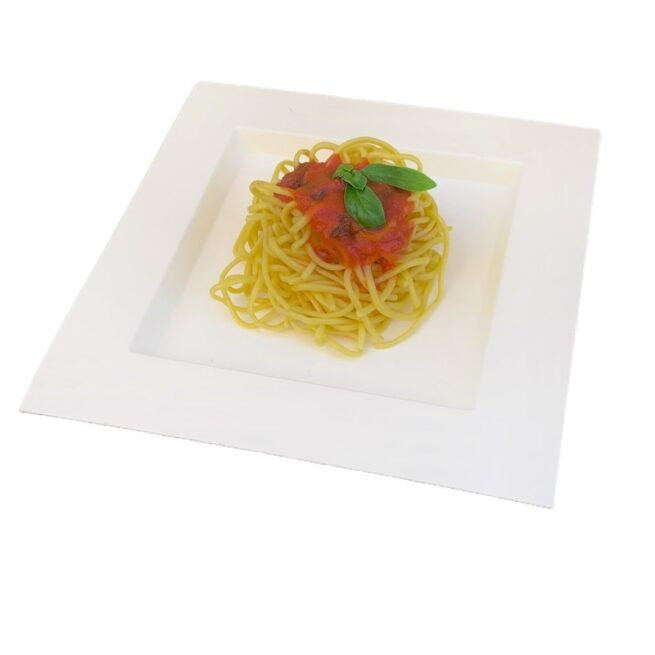 Assiette jetable plate Dedra 22 × 22 cm en cellulose, lot de 350 - Ecobioshopping