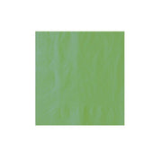 Serviette jetable verte kiwi 2 plis 40 × 40 cm, lot de 2000 - Ecobioshopping