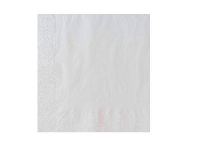 Serviette jetable blanche 2 plis 38 × 38 cm, lot de 2400 - Ecobioshopping