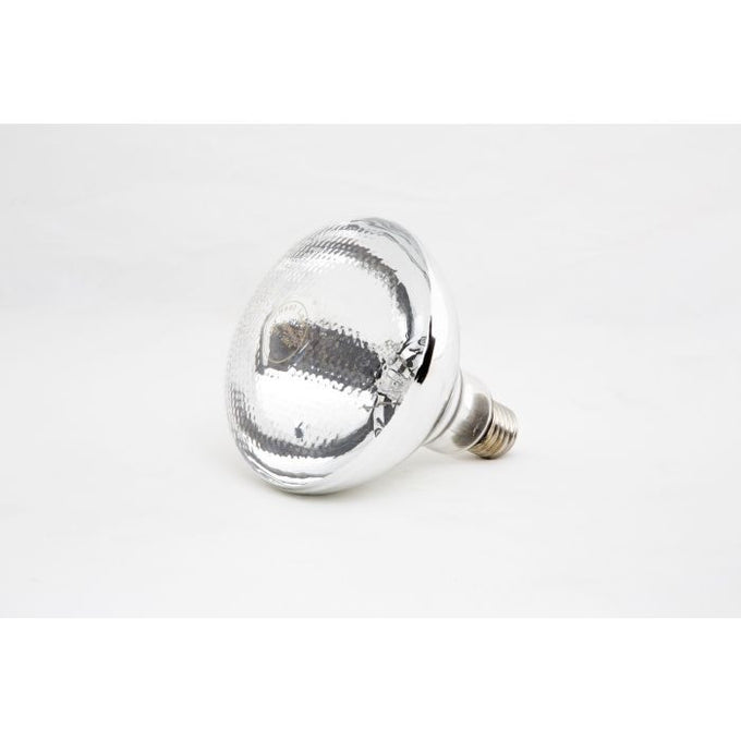 Ampoule pour lampe chauffante 0.25 kW Combisteel - vue 4 - Lampe chauffante pro CHR - Cuistéo