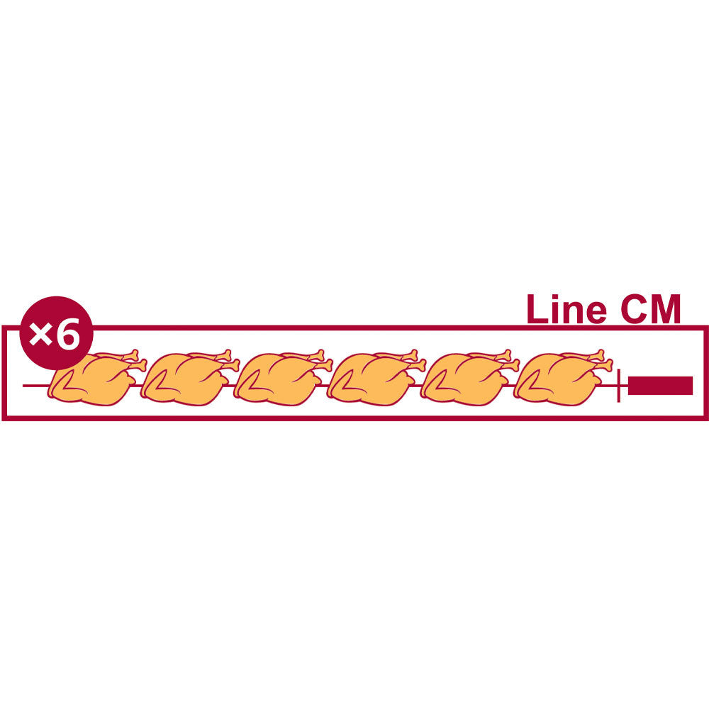 Rôtissoire gaz 15 x 6 poulets - Diamond