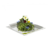 Assiette 23x23cm - Revol