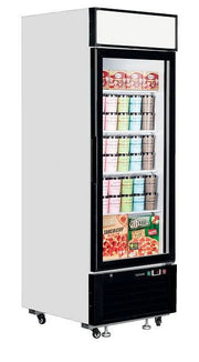 Vitrine de congélation LGF2500 - Tefcold