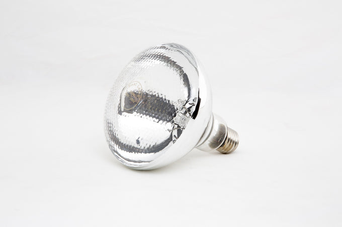 Ampoule pour lampe chauffante 0.25 kW Combisteel - Lampe chauffante professionnel CHR - matériel cuisine pro - Cuistéo