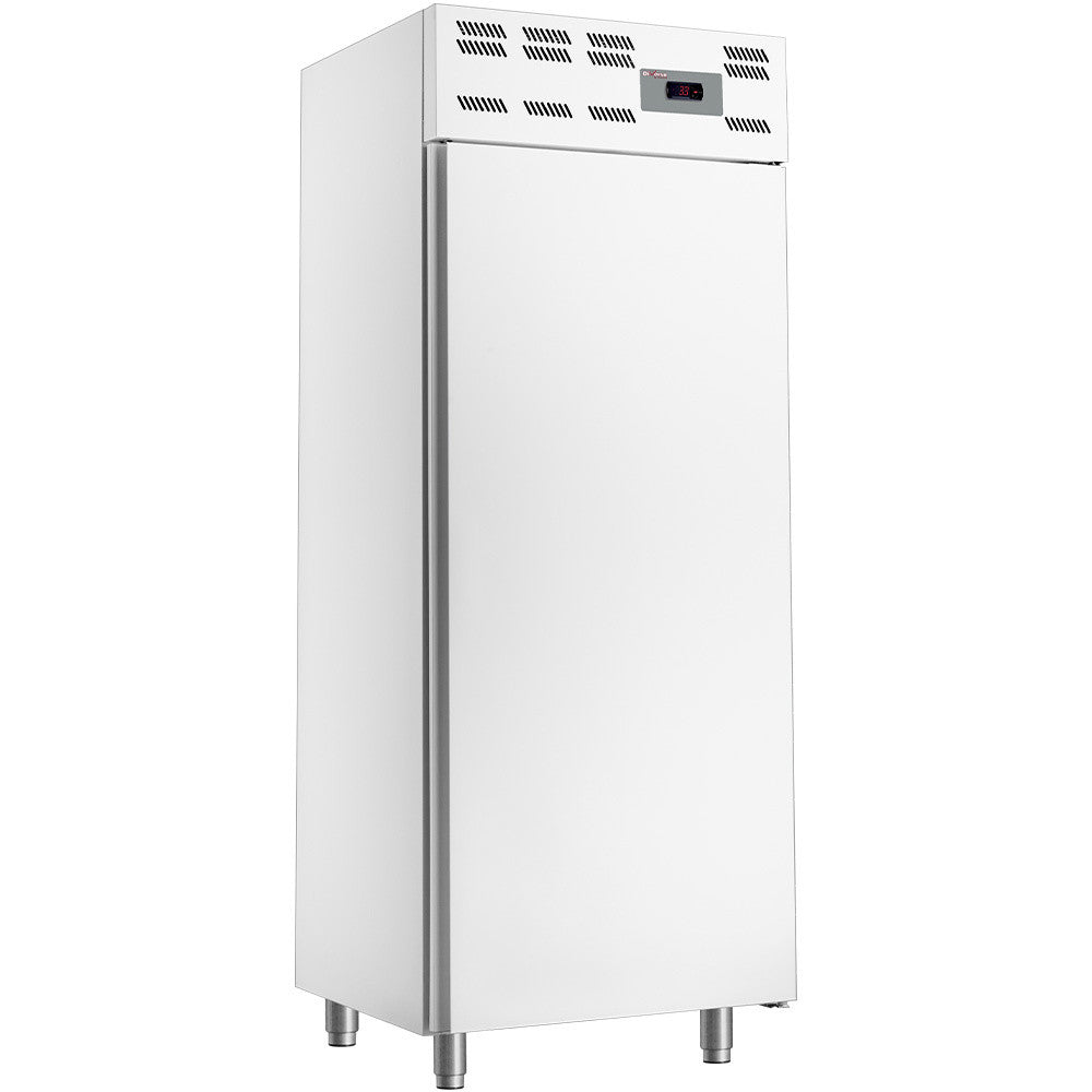 Armoire Congélation 500L 20x 600x 400 Stat. -12° à -22°C - Éco-responsable R290 - Diverso