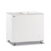 Congélateur statique à coffre avec porte coulissante pleine Modèle FR300PSSL - KlimaItalia