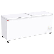 Congélateur bahut 655 litres - Diamond