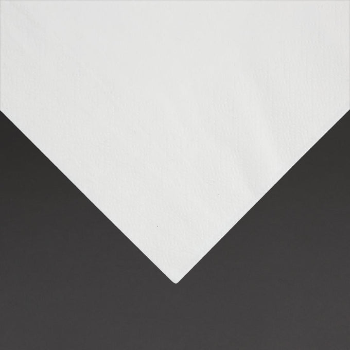 Serviettes snacking 2 plis pliage 1/4 330 mm blanches (lot de 2000) - Fiesta Recyclable