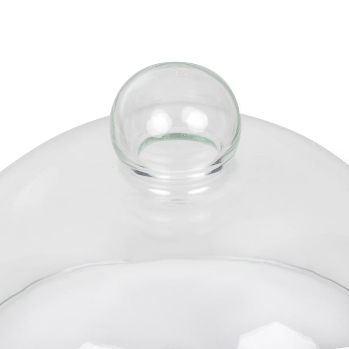 Cloche en verre 210 mm