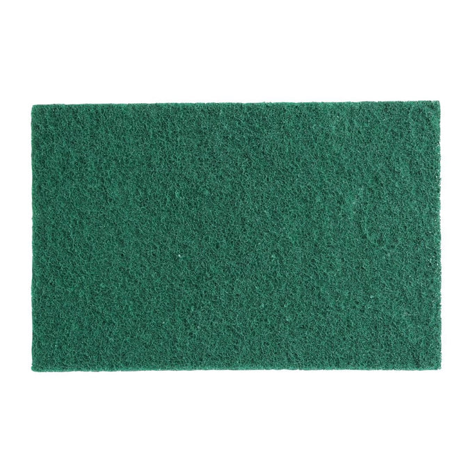 Grands tampons à récurer verts (lot de 10) - Jantex