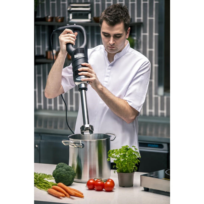 Mixeur plongeant vitesse variable 400 mm - Buffalo