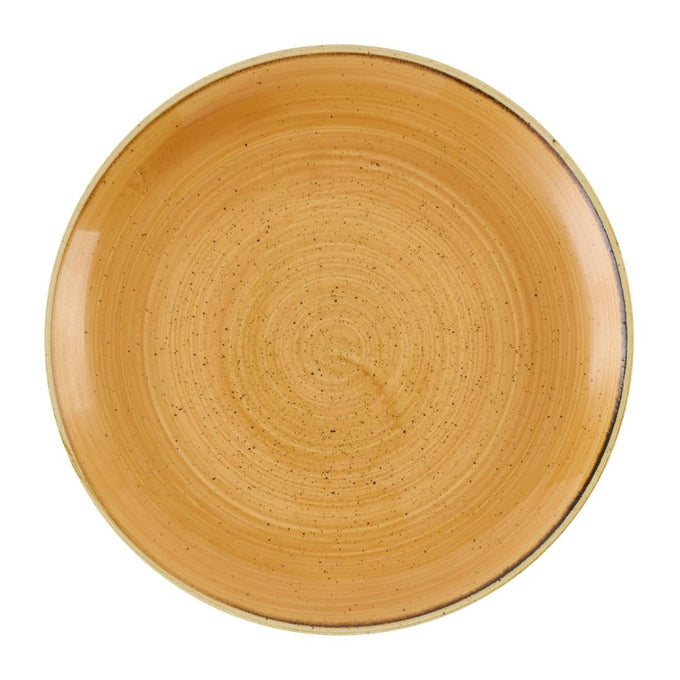 Assiettes avec rebord Stonecast Tangerine 288 mm (lot de 12) - Churchill