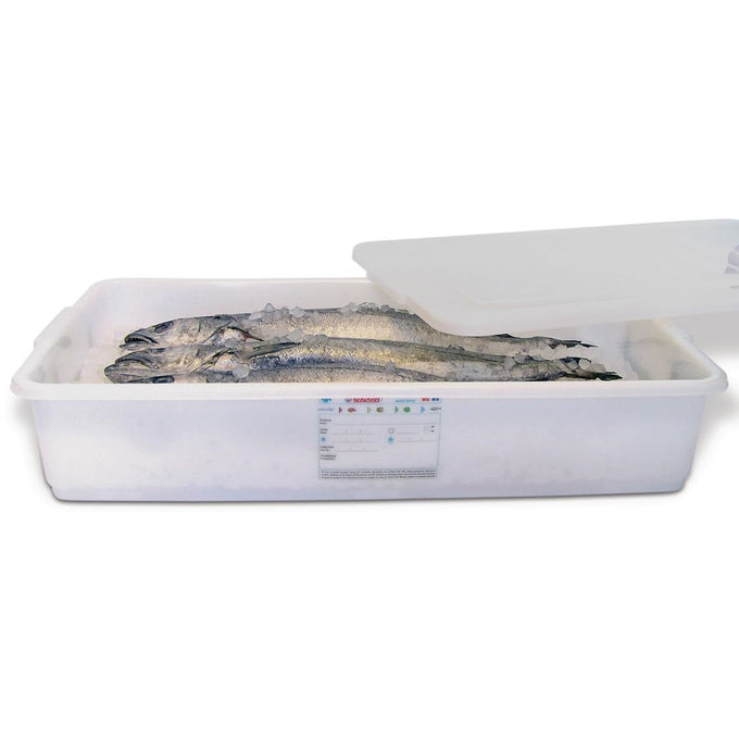 Conteneur alimentaire avec couvercle 40 L - Araven